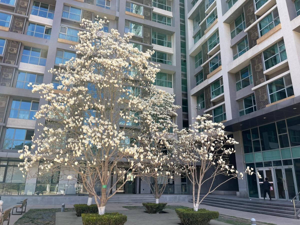 Beijing Elegant Seasons Park Apartment Ngoại thất bức ảnh